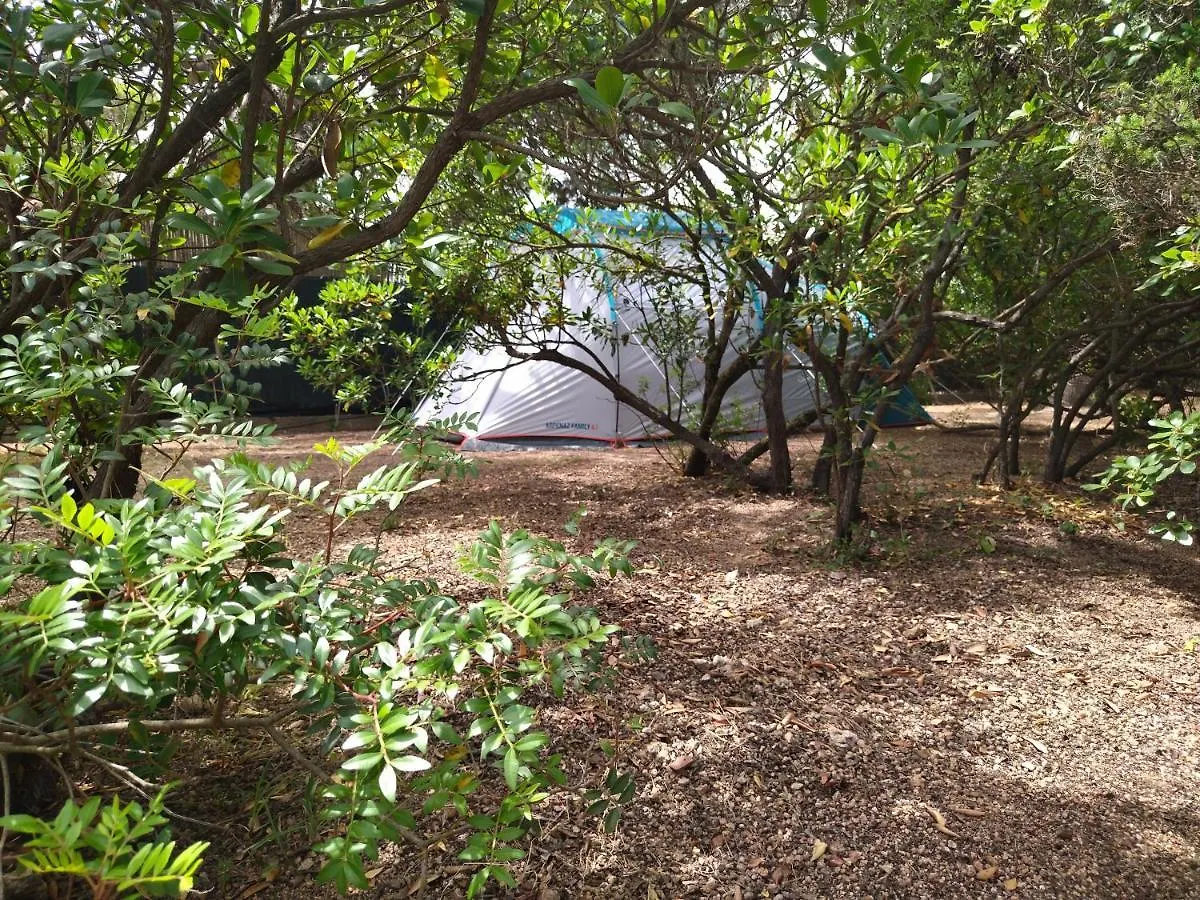 Luxe tent La Pineta Fronte Mare Italië